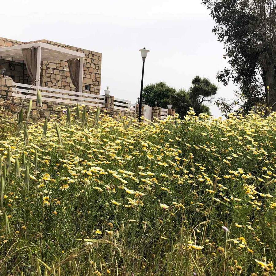 Villa Aegean View Lindos-Pefkoi Pefki  Luaran gambar